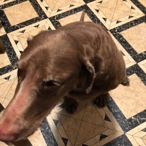 Meet your Posher, Kyle